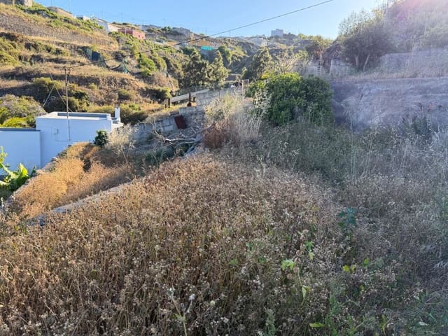 Building Plot for sale in Fasnia - € 50,000 (Ref: 9901460)