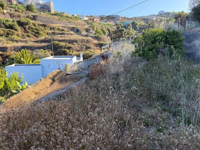 Building Plot for sale in Fasnia - € 50,000 (Ref: 9901460)