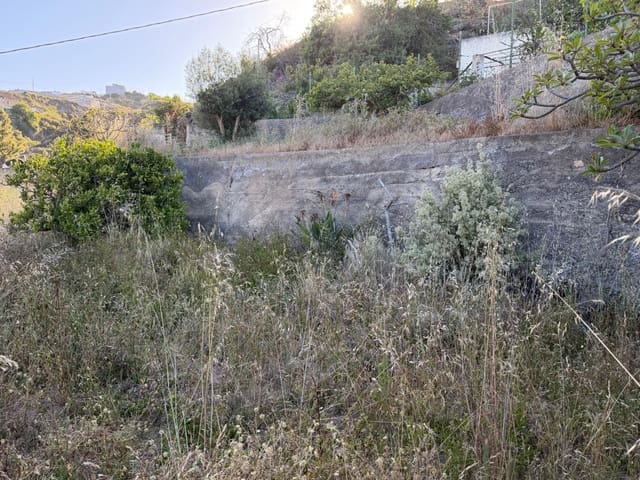 Building Plot for sale in Fasnia - € 50,000 (Ref: 9901460)