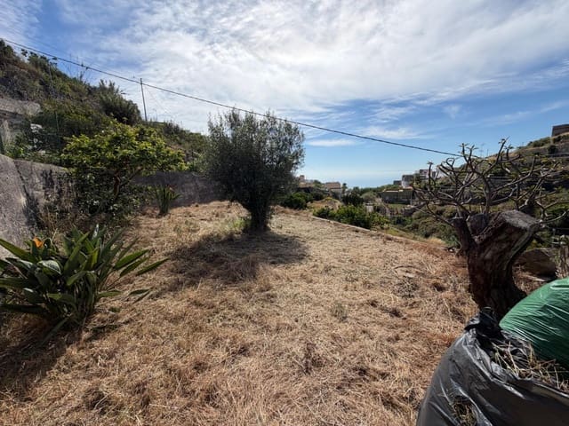 Solar/Parcela en Fasnia en venta - 50.000 € (Ref: 9901460)