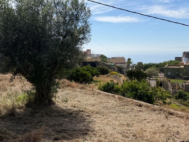 Solar/Parcela en Fasnia en venta - 50.000 € (Ref: 9901460)
