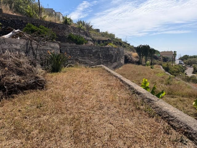 Solar/Parcela en Fasnia en venta - 50.000 € (Ref: 9901460)