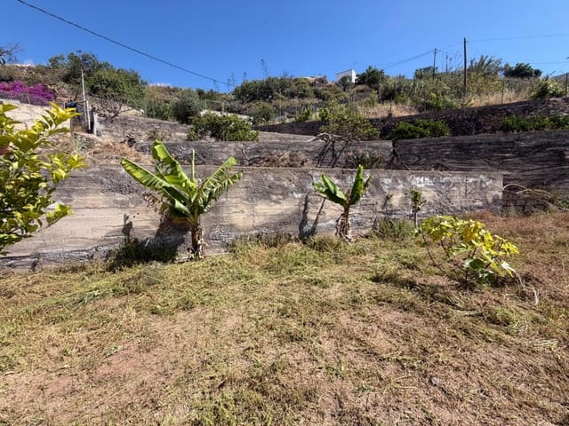 Solar/Parcela en Fasnia en venta - 50.000 € (Ref: 9901460)