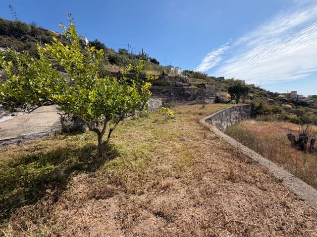 Solar/Parcela en Fasnia en venta - 50.000 € (Ref: 9901460)