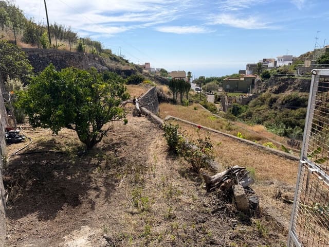 Solar/Parcela en Fasnia en venta - 50.000 € (Ref: 9901460)