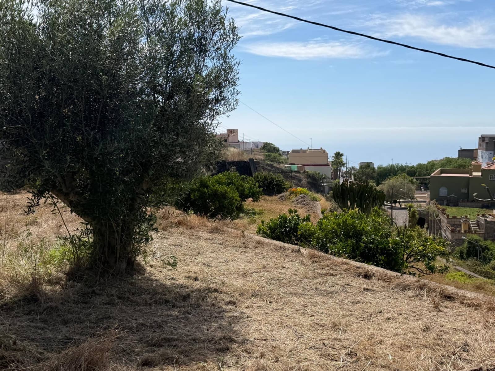 Building Plot for sale in Fasnia - € 50,000 (Ref: 9901460)