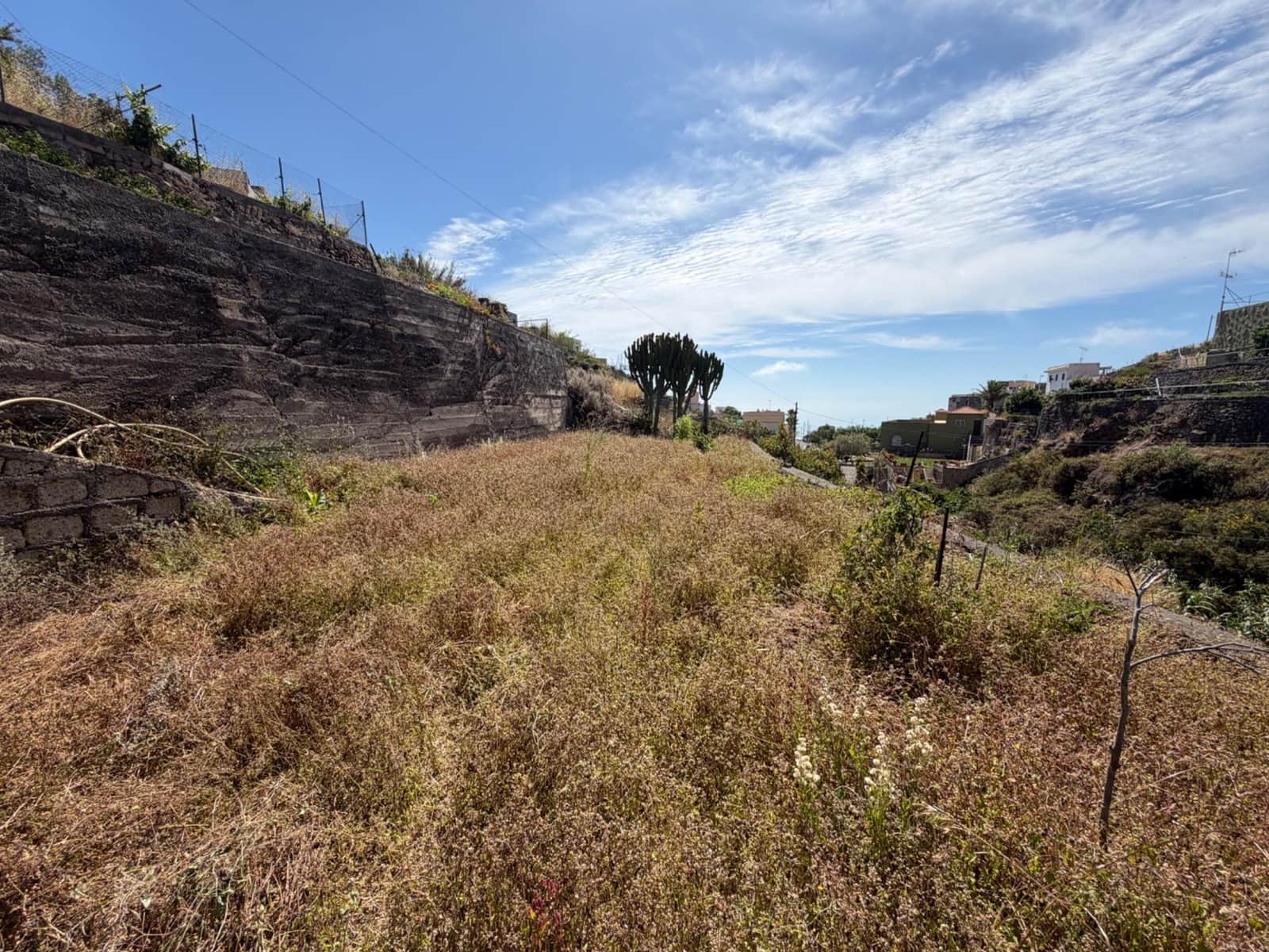 Building Plot for sale in Fasnia - € 50,000 (Ref: 9901460)