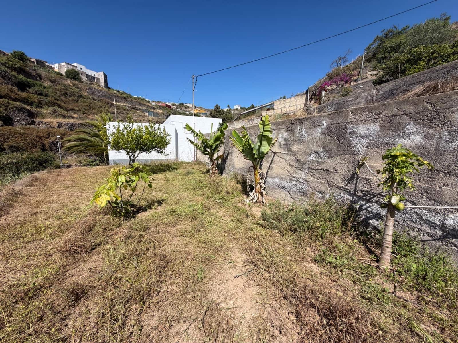Building Plot for sale in Fasnia - € 50,000 (Ref: 9901460)