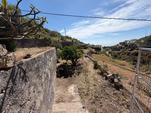 Solar/Parcela en Fasnia en venta - 50.000 € (Ref: 9901460)