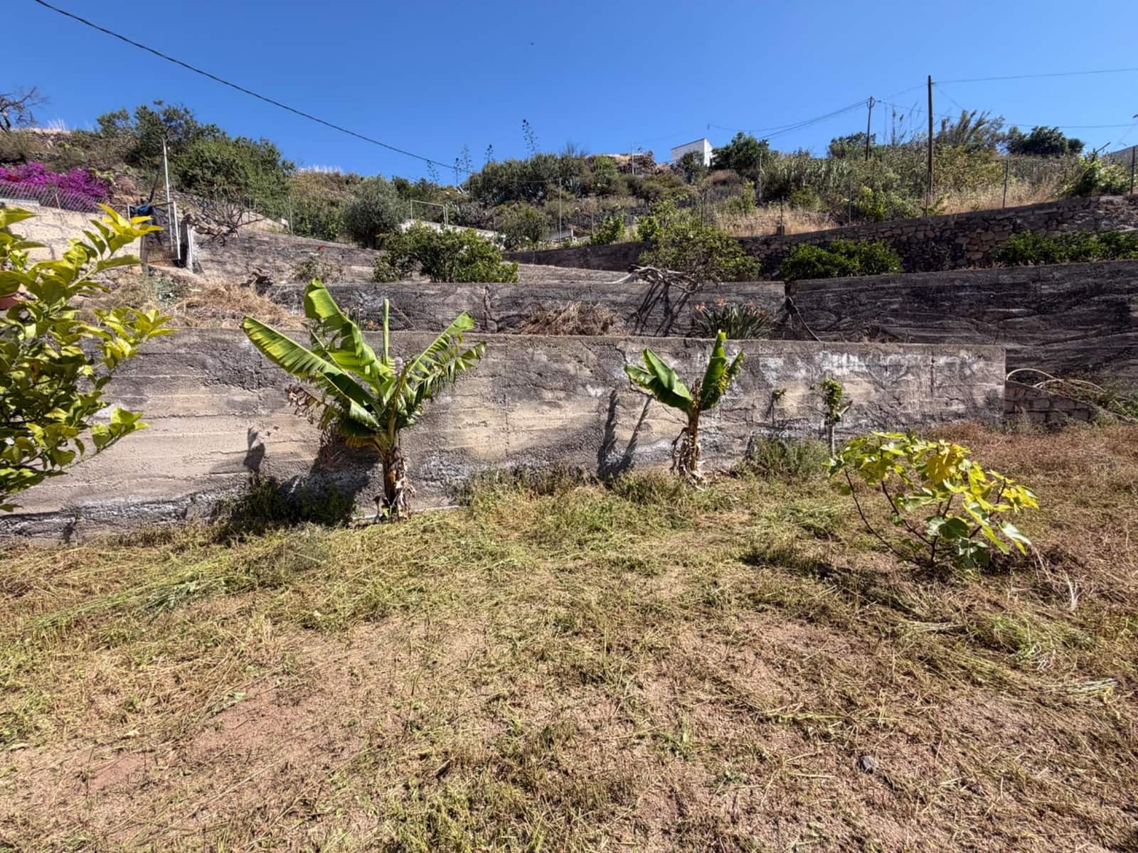 Building Plot for sale in Fasnia - € 50,000 (Ref: 9901460)