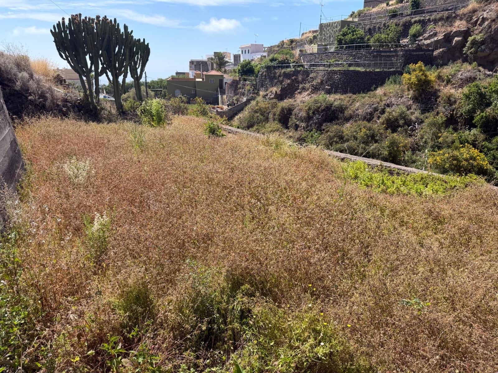 Building Plot for sale in Fasnia - € 50,000 (Ref: 9901460)