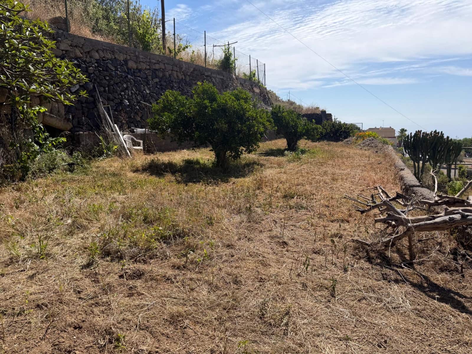 Building Plot for sale in Fasnia - € 50,000 (Ref: 9901460)