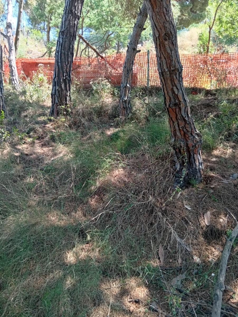 Undeveloped Land for sale in Calella - € 75,000 (Ref: 9901461)