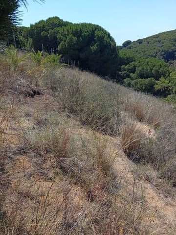 Grunde uden byggetilladelser til salg i Calella - € 75.000 (Ref: 9901461)