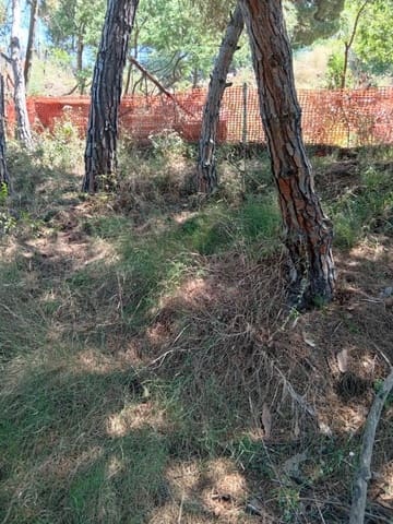 Grunde uden byggetilladelser til salg i Calella - € 75.000 (Ref: 9901461)