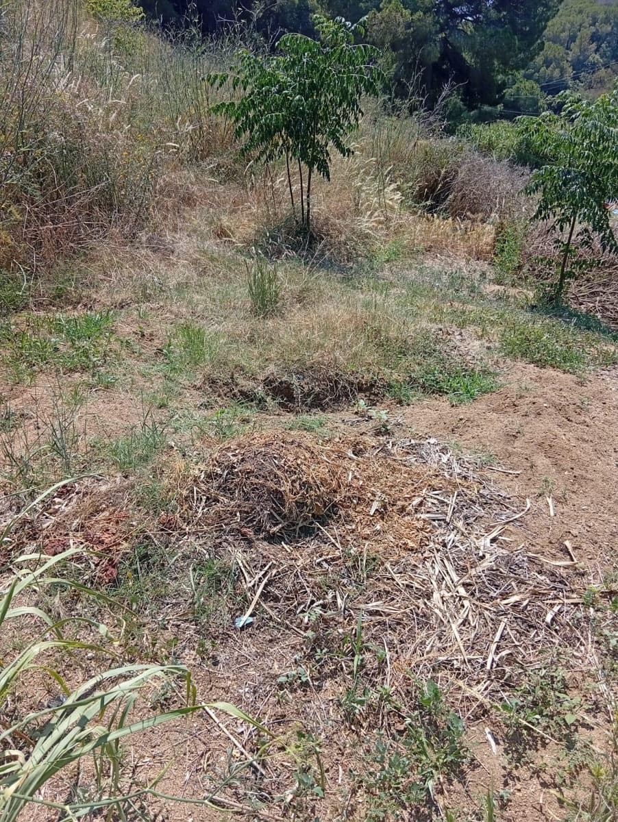 Undeveloped Land for sale in Calella - € 75,000 (Ref: 9901461)