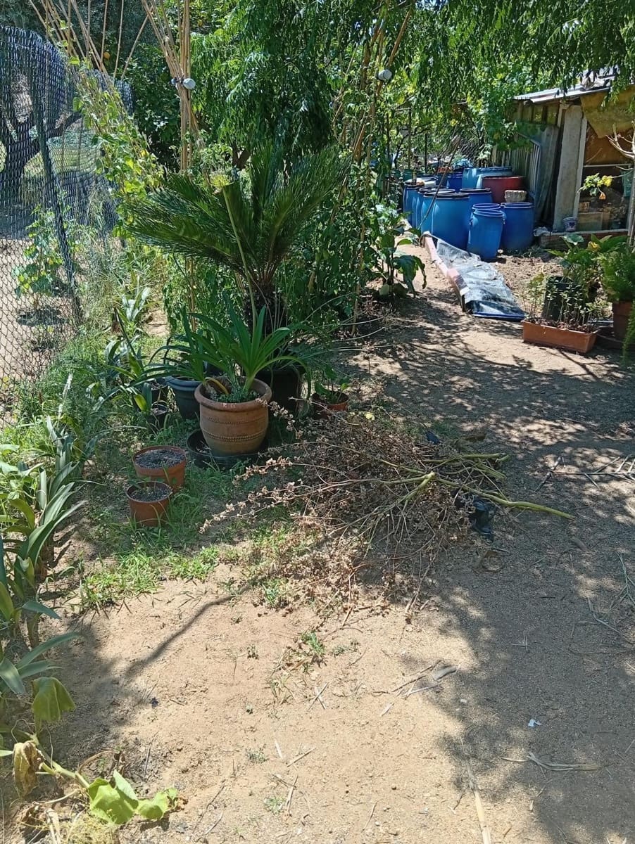 Undeveloped Land for sale in Calella - € 75,000 (Ref: 9901461)