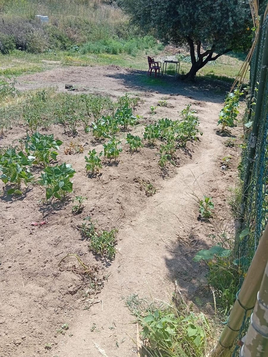Undeveloped Land for sale in Calella - € 75,000 (Ref: 9901461)