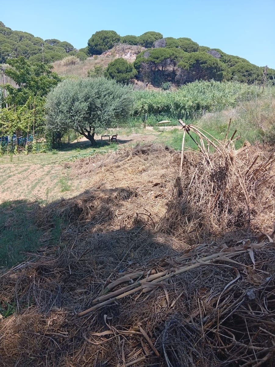 Undeveloped Land for sale in Calella - € 75,000 (Ref: 9901461)
