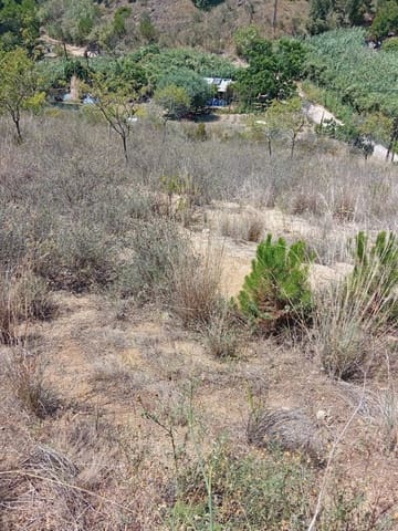 Grunde uden byggetilladelser til salg i Calella - € 75.000 (Ref: 9901461)