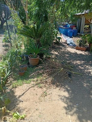 Grunde uden byggetilladelser til salg i Calella - € 75.000 (Ref: 9901461)
