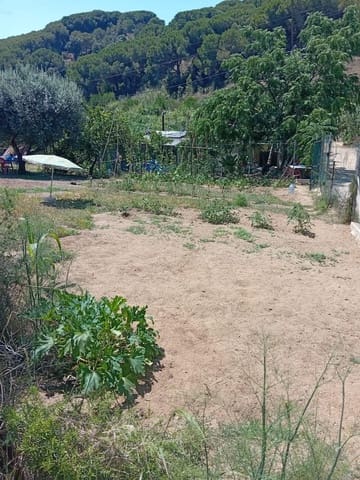 Grunde uden byggetilladelser til salg i Calella - € 75.000 (Ref: 9901461)