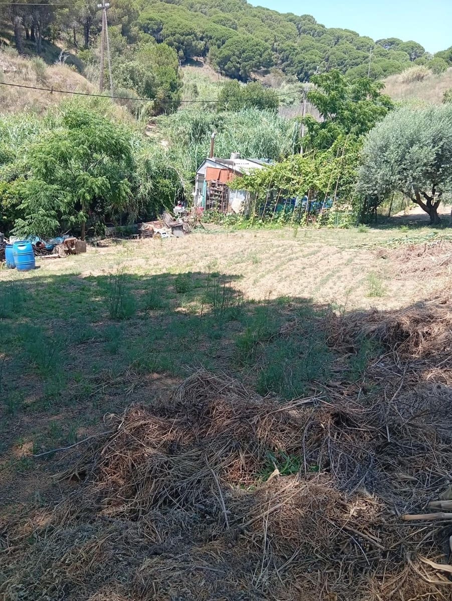 Undeveloped Land for sale in Calella - € 75,000 (Ref: 9901461)