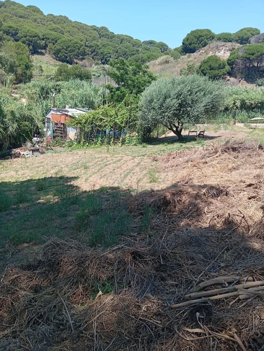 Undeveloped Land for sale in Calella - € 75,000 (Ref: 9901461)