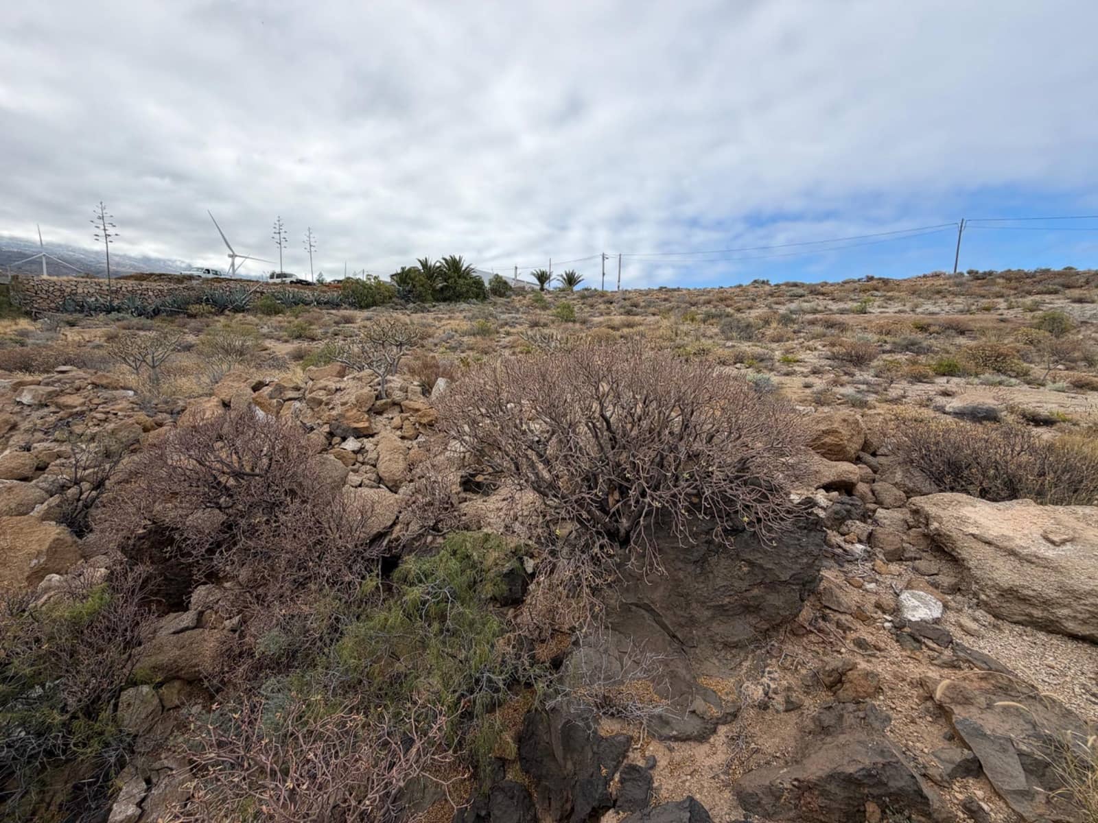 Undeveloped Land for sale in Arico - € 25,000 (Ref: 9901466)