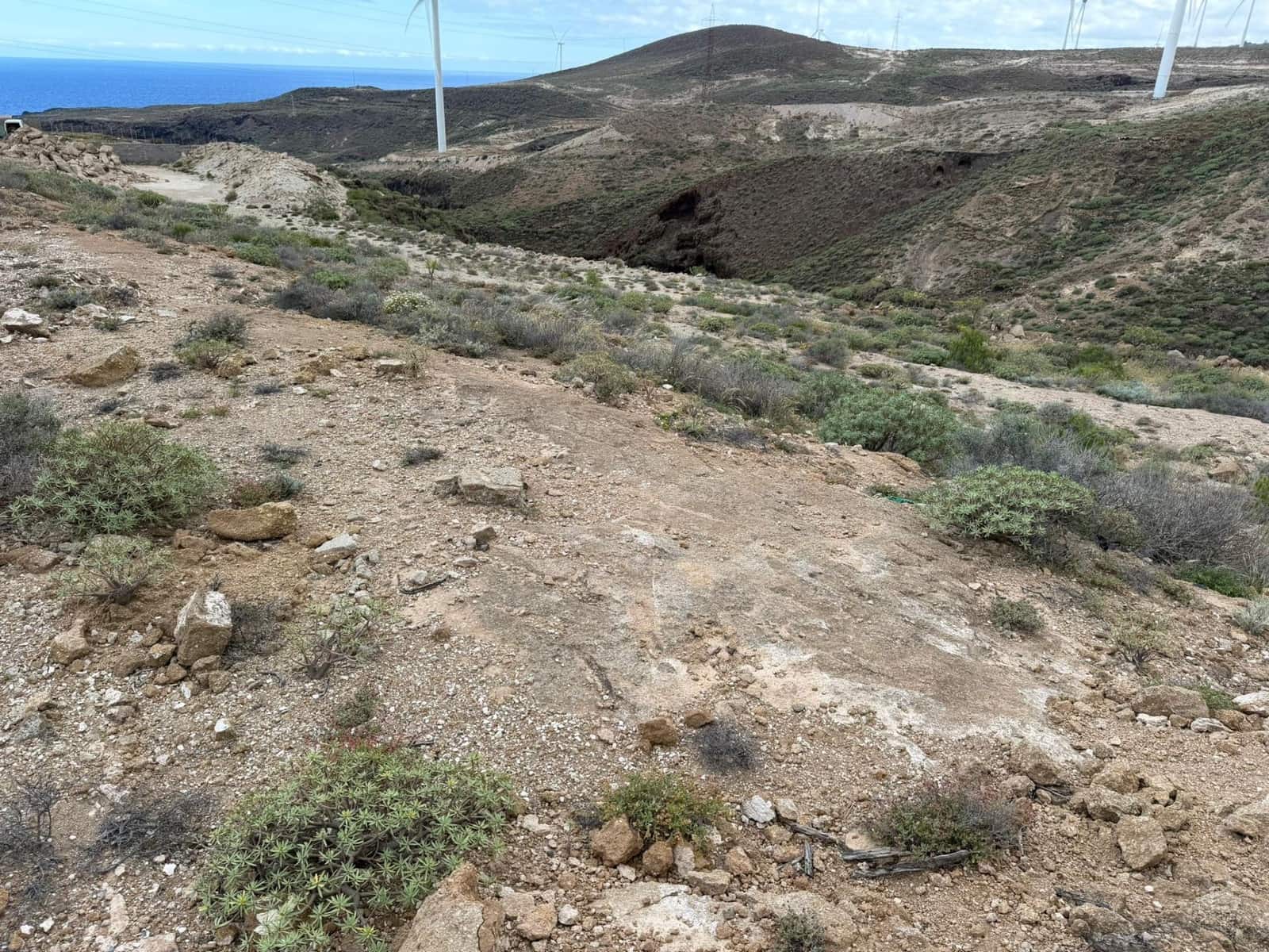 Undeveloped Land for sale in Arico - € 25,000 (Ref: 9901466)