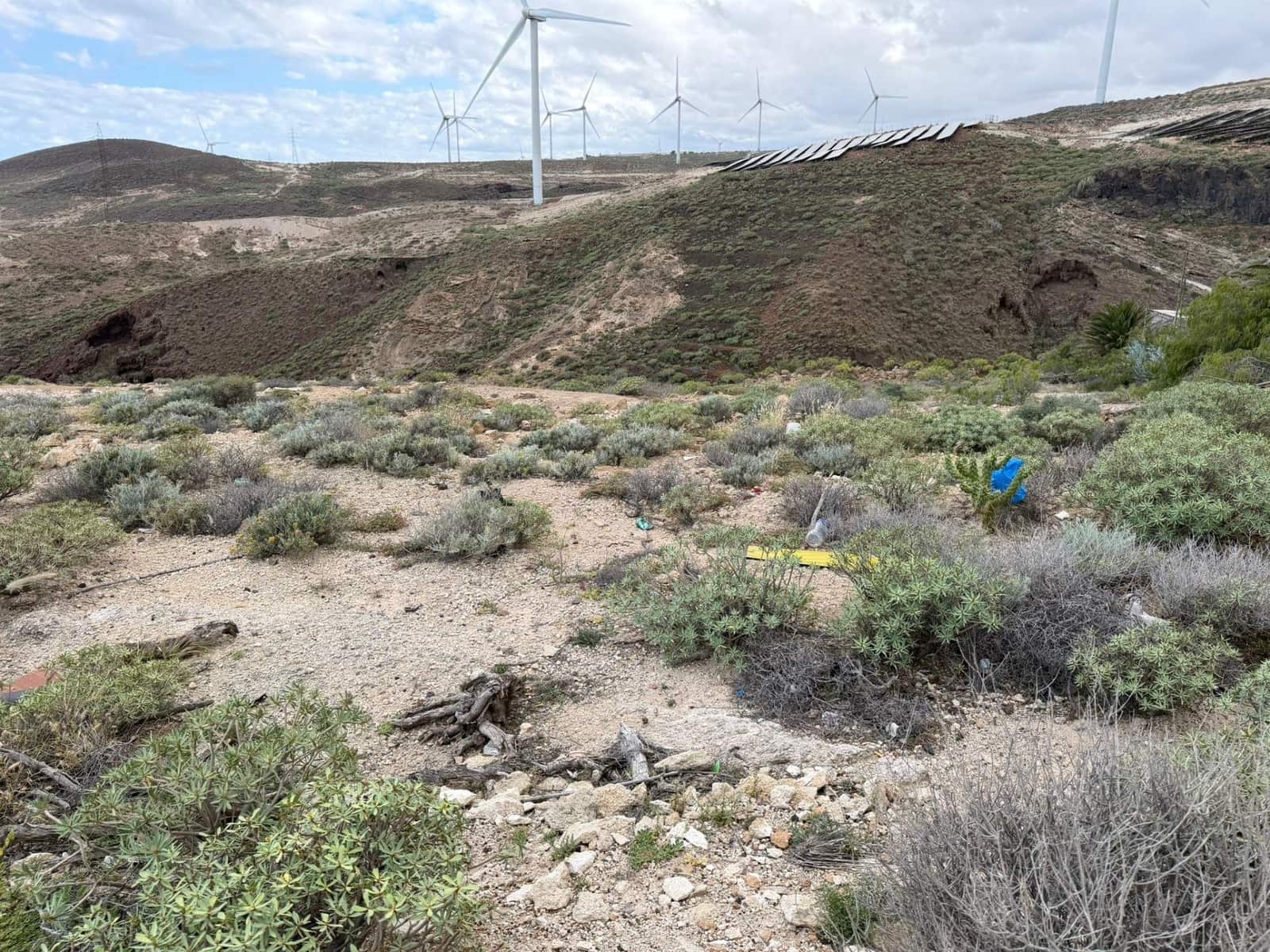 Undeveloped Land for sale in Arico - € 25,000 (Ref: 9901466)