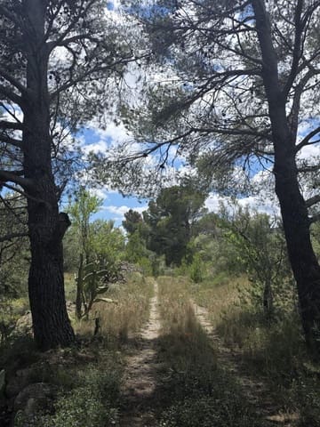 Finca/Casa Rural de 2 habitaciones en Roquetes en venta - 36.000 € (Ref: 10100413)