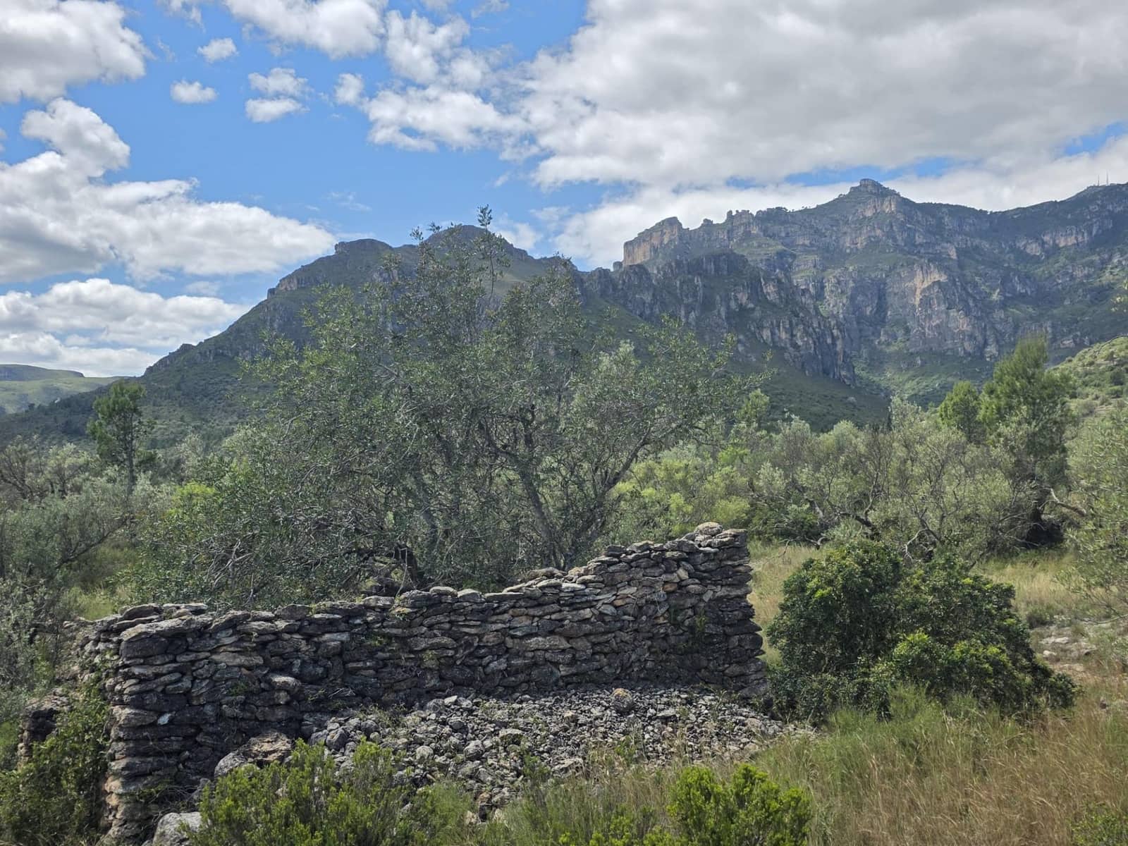 Finca/Casa Rural de 2 habitaciones en Roquetes en venta - 36.000 € (Ref: 10100413)