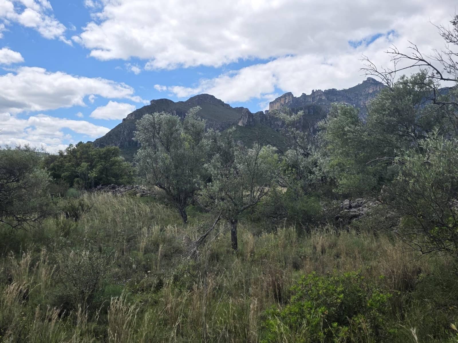 Finca/Casa Rural de 2 habitaciones en Roquetes en venta - 36.000 € (Ref: 10100413)