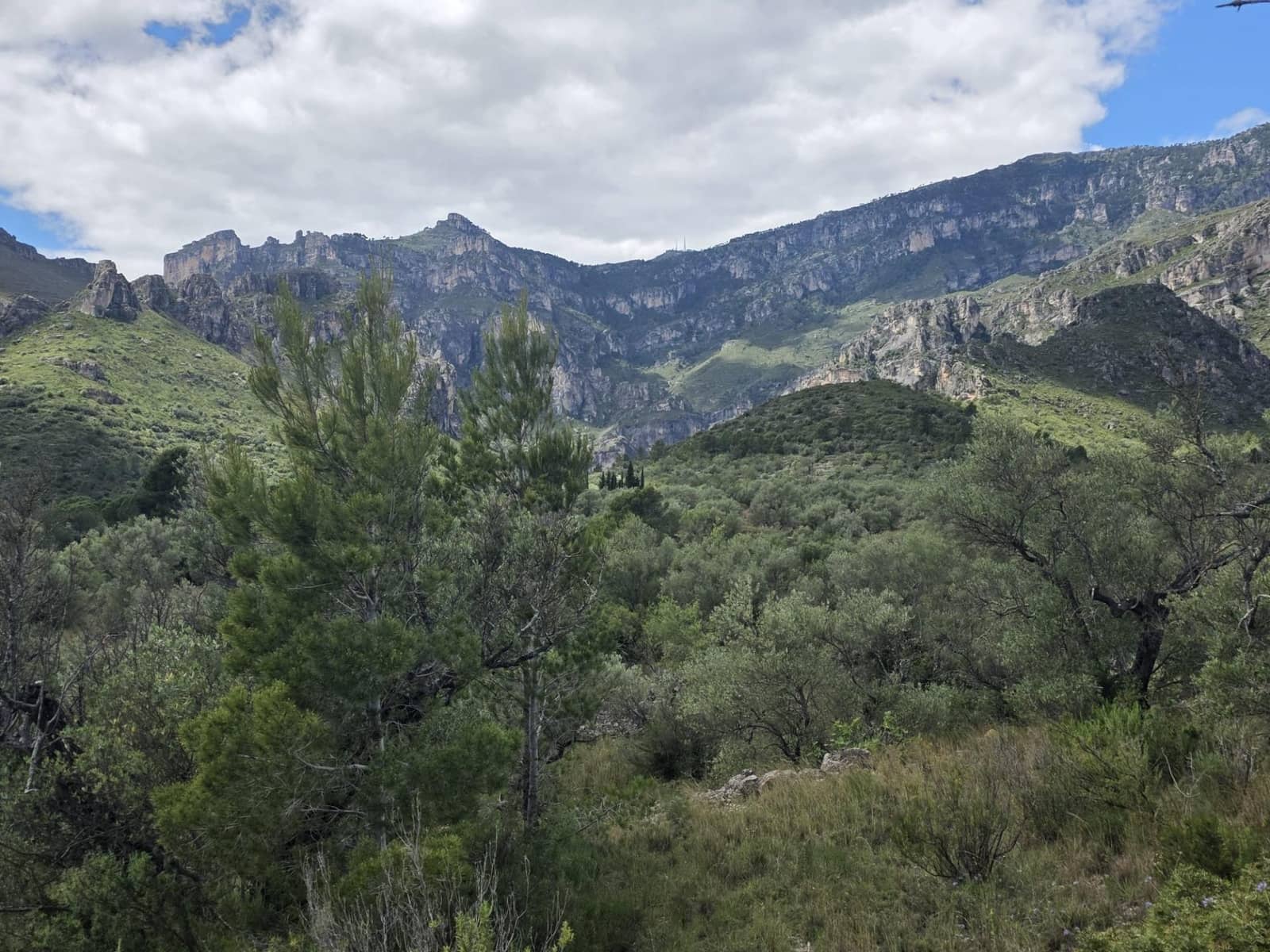 Finca/Casa Rural de 2 habitaciones en Roquetes en venta - 36.000 € (Ref: 10100413)