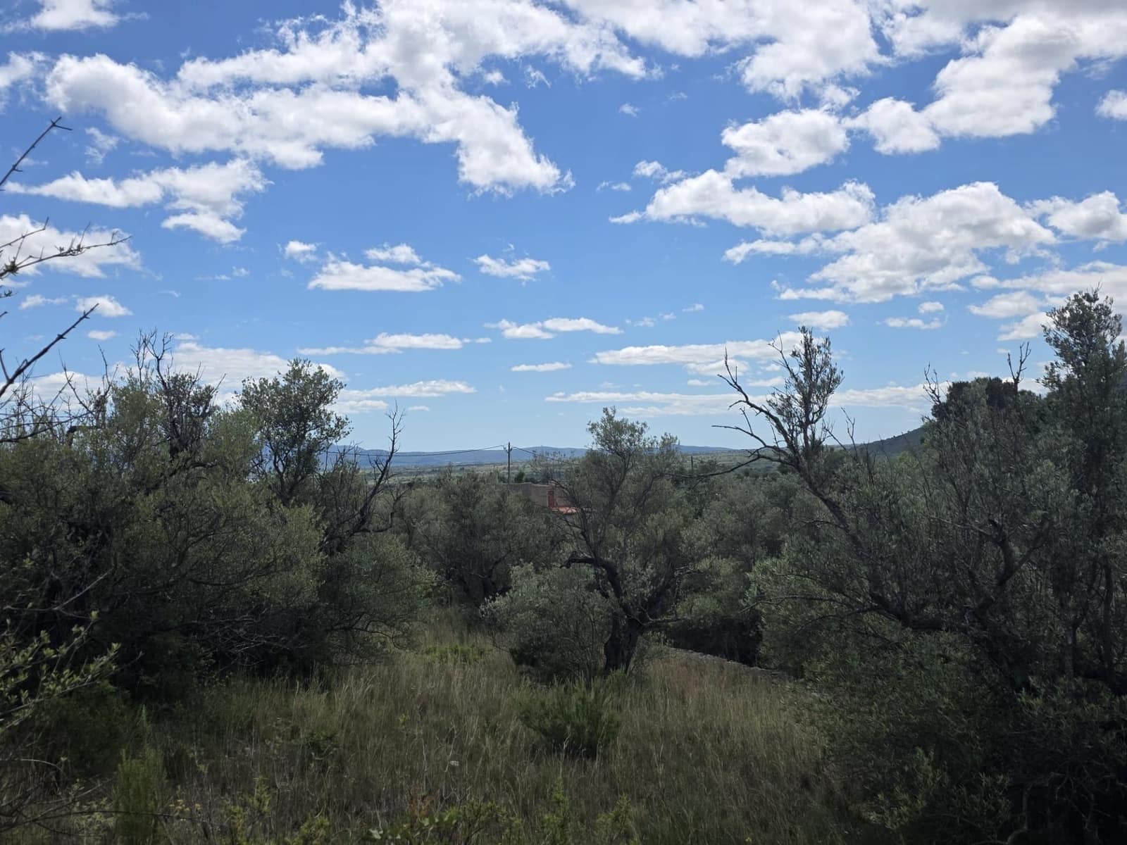 Finca/Casa Rural de 2 habitaciones en Roquetes en venta - 36.000 € (Ref: 10100413)