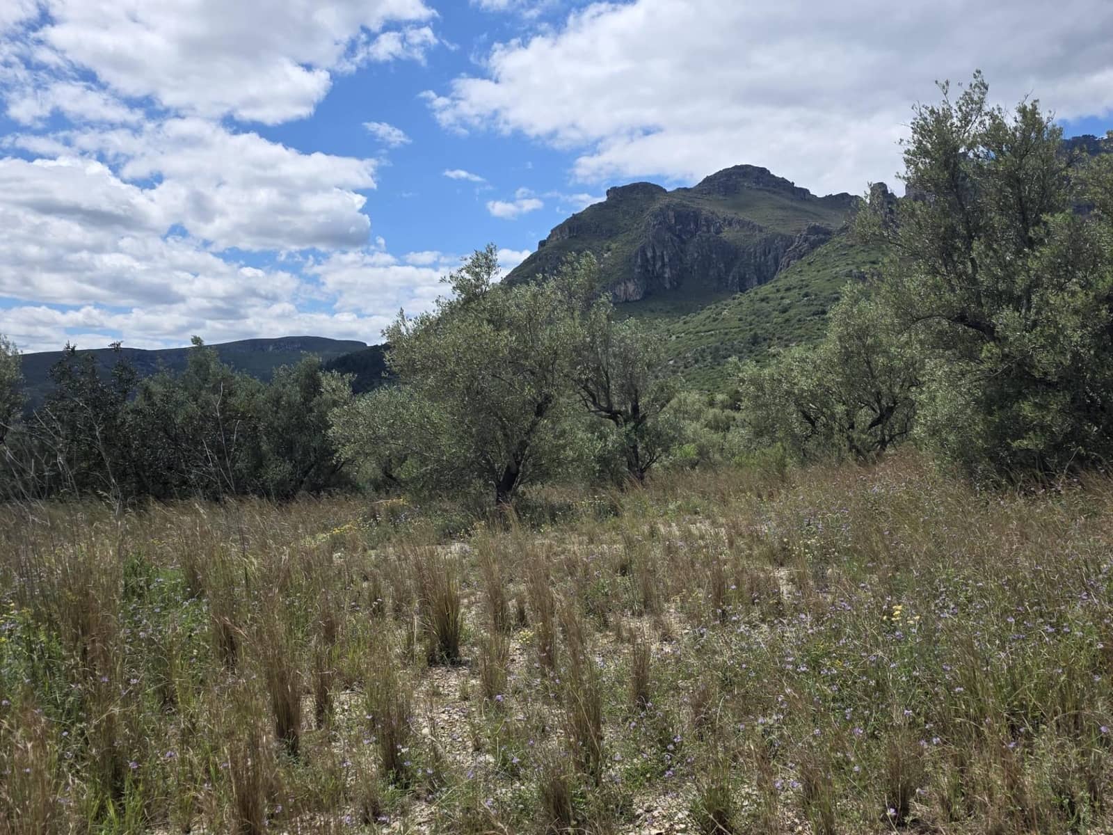 Finca/Casa Rural de 2 habitaciones en Roquetes en venta - 36.000 € (Ref: 10100413)