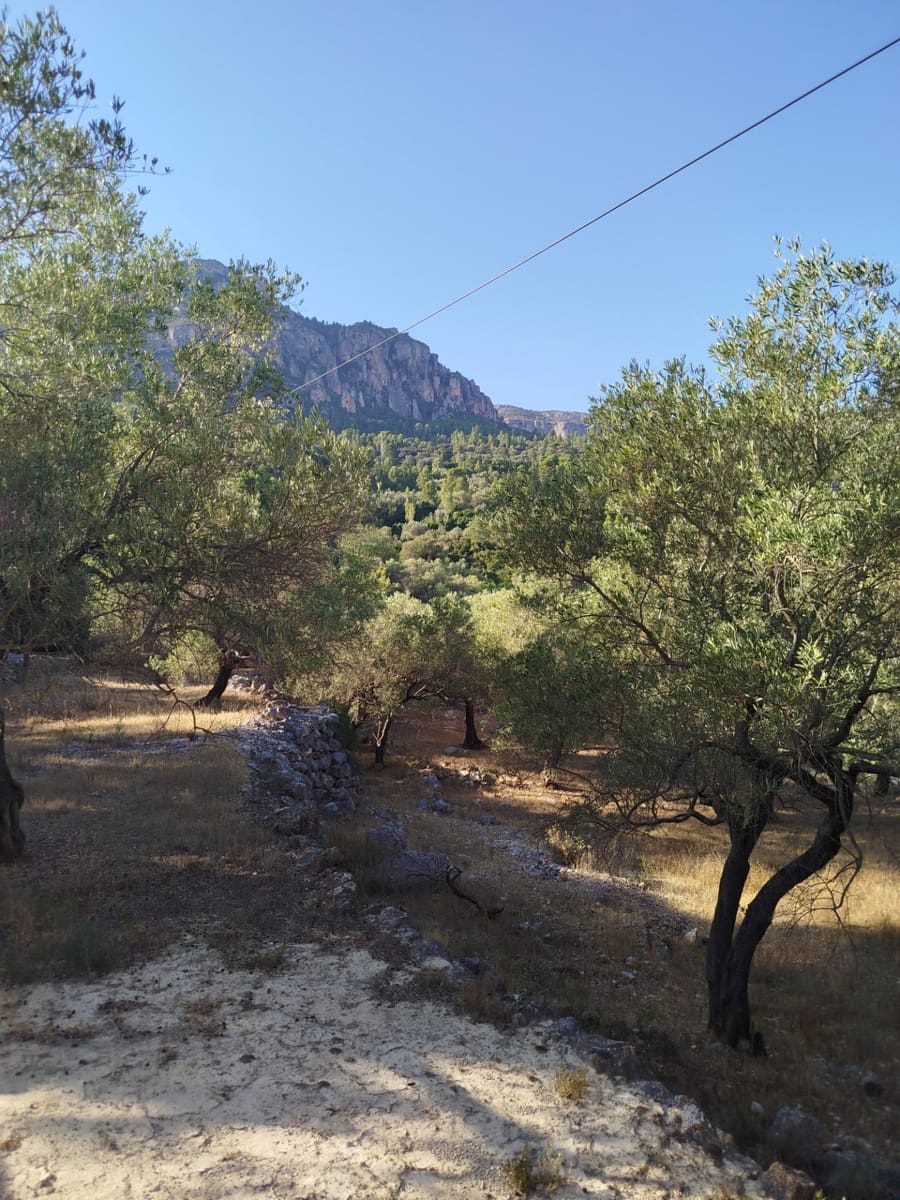 2 chambre Finca/Maison de Campagne à vendre à Alfara de Carles - 35 000 € (Ref: 10100414)