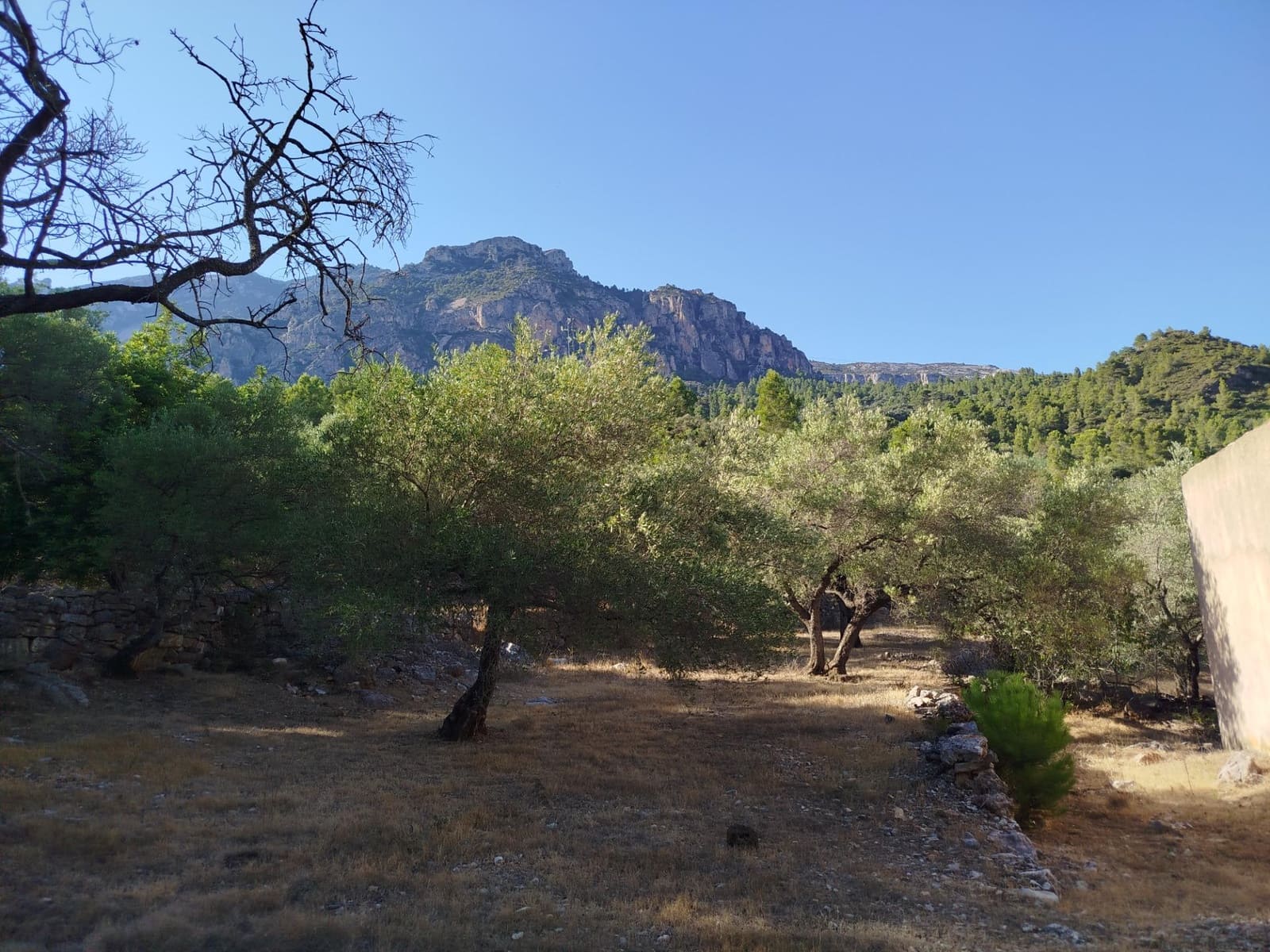 2 chambre Finca/Maison de Campagne à vendre à Alfara de Carles - 35 000 € (Ref: 10100414)