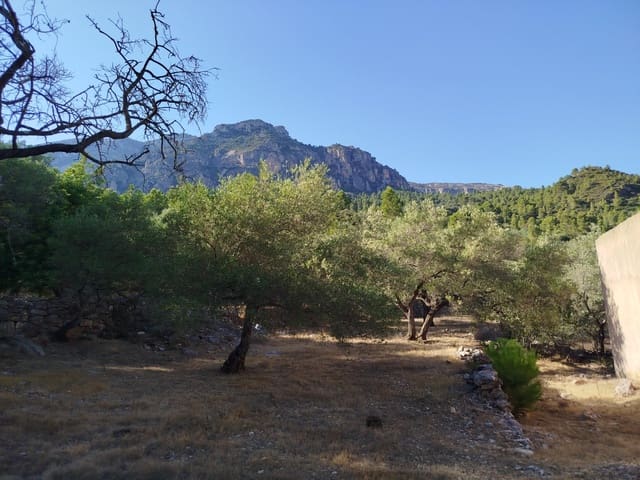 2 chambre Finca/Maison de Campagne à vendre à Alfara de Carles - 35 000 € (Ref: 10100414)