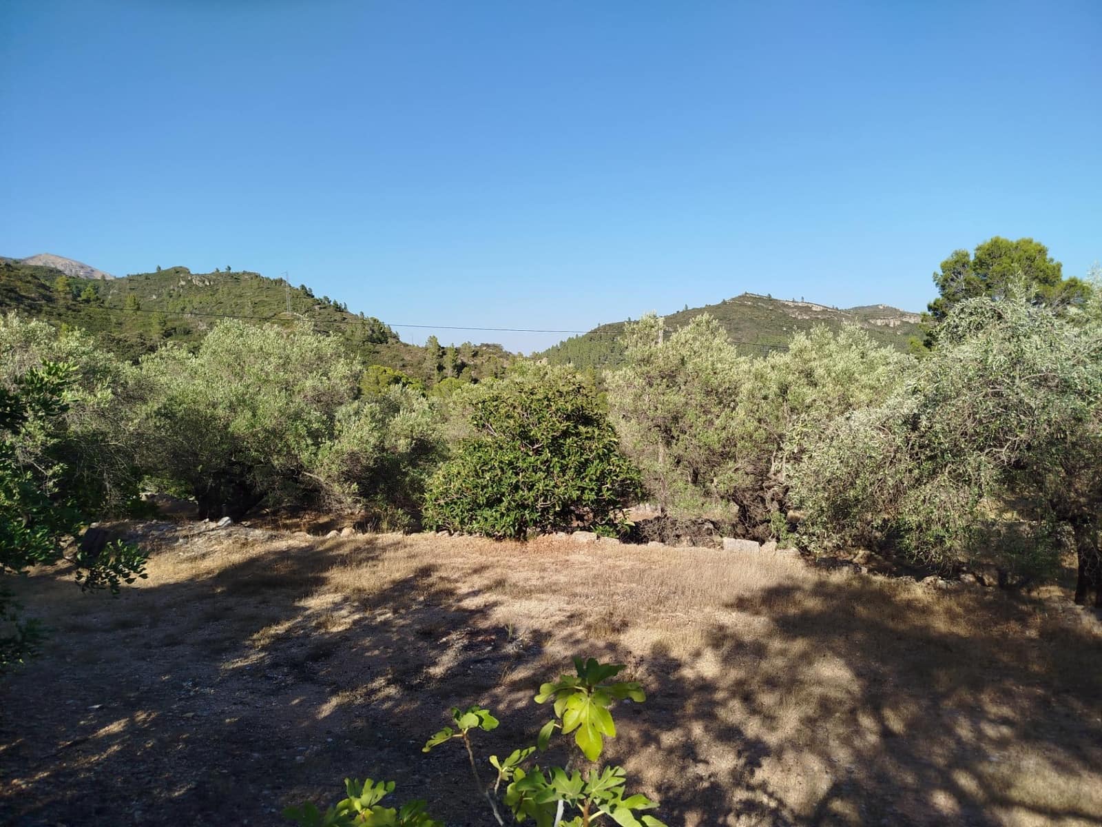 2 chambre Finca/Maison de Campagne à vendre à Alfara de Carles - 35 000 € (Ref: 10100414)