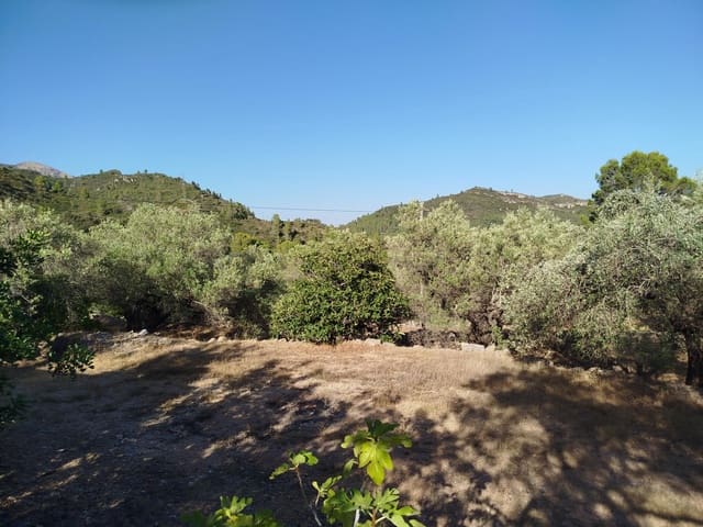 2 chambre Finca/Maison de Campagne à vendre à Alfara de Carles - 35 000 € (Ref: 10100414)