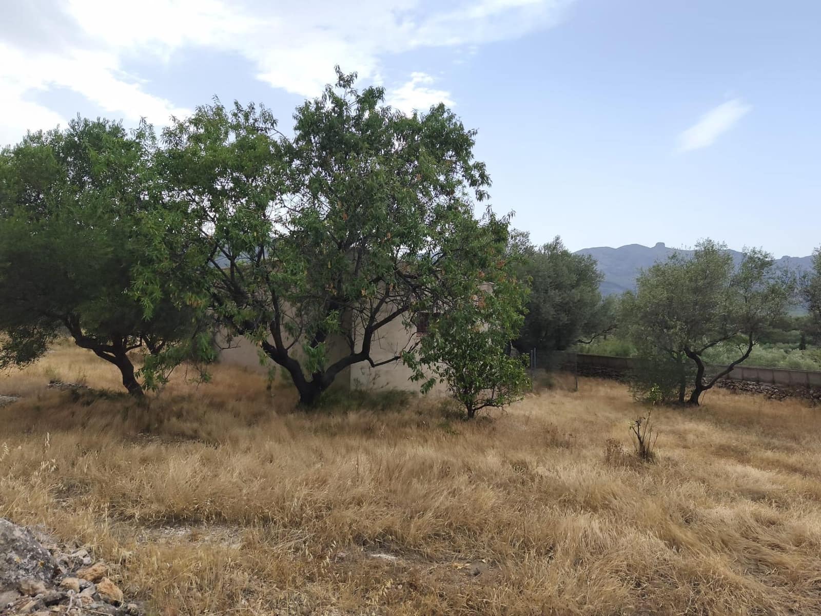 3 bedroom Finca/Country House for sale in Aldover - € 85,000 (Ref: 10102821)
