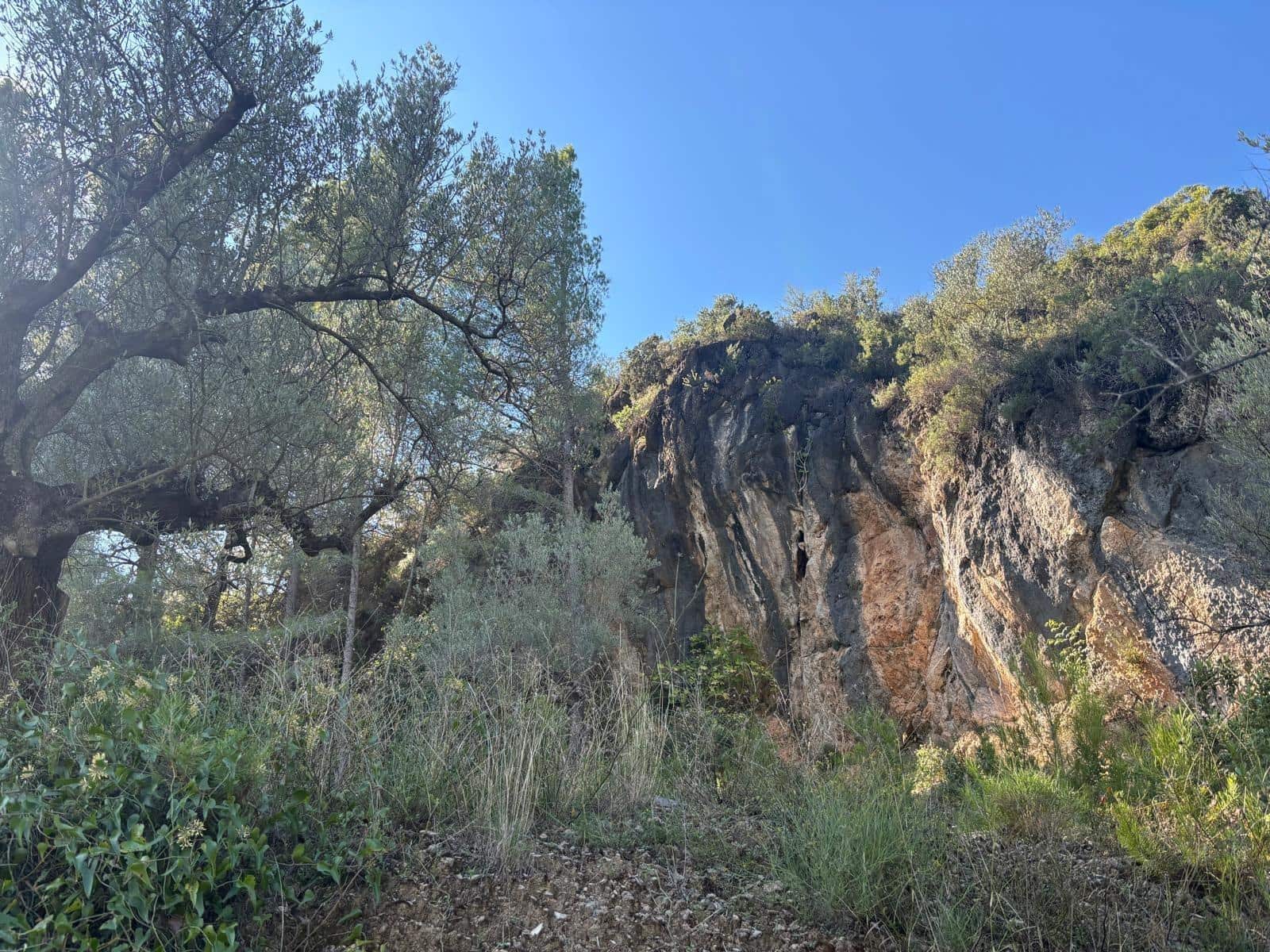 2 sypialnia Finka/Dom wiejski na sprzedaż w Alfara de Carles z basenem - 142 000 € (Ref: 10166865)