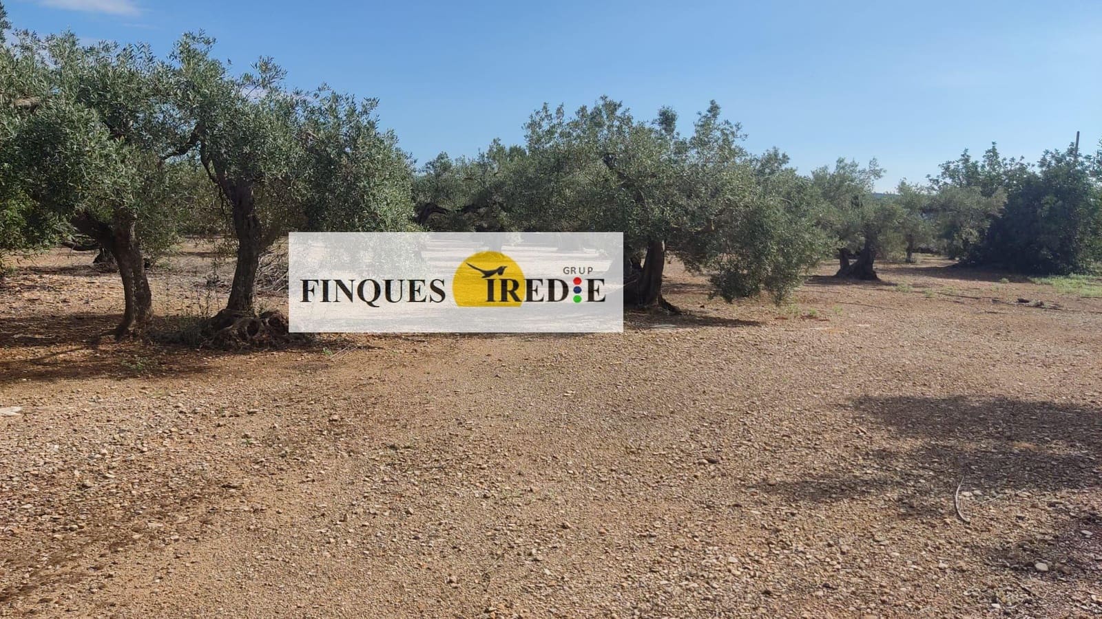 Działka budowlana na sprzedaż w Roquetes - 49 000 € (Ref: 9488900)