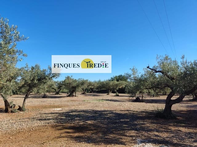 Działka budowlana na sprzedaż w Roquetes - 49 000 € (Ref: 9488900)