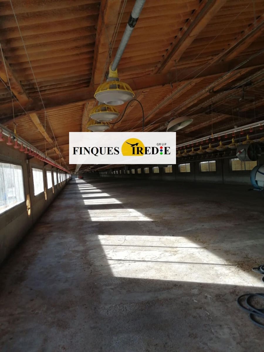 Bedrift til salgs i L'Ampolla - € 800 000 (Ref: 9488902)