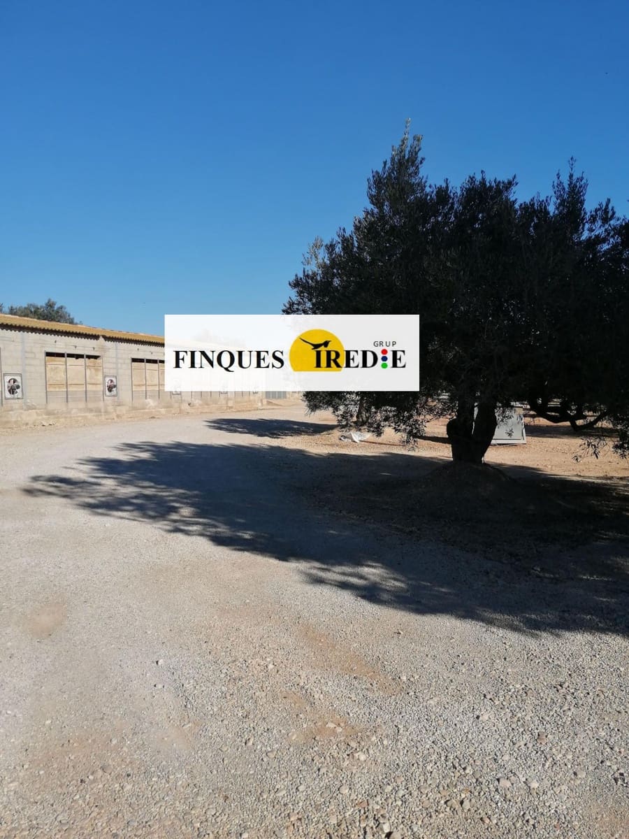 Bedrift til salgs i L'Ampolla - € 800 000 (Ref: 9488902)