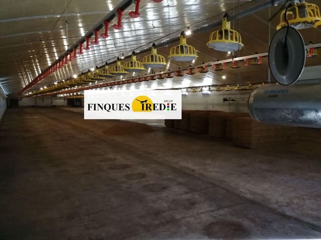 Bedrift til salgs i L'Ampolla - € 800 000 (Ref: 9488902)