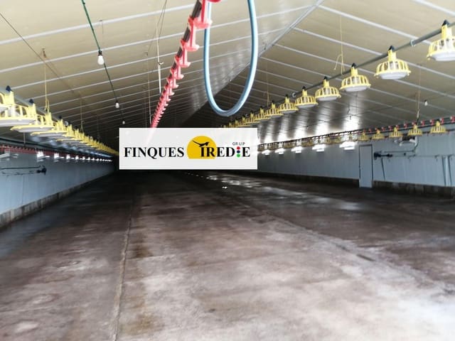 Bedrift til salgs i L'Ampolla - € 800 000 (Ref: 9488902)